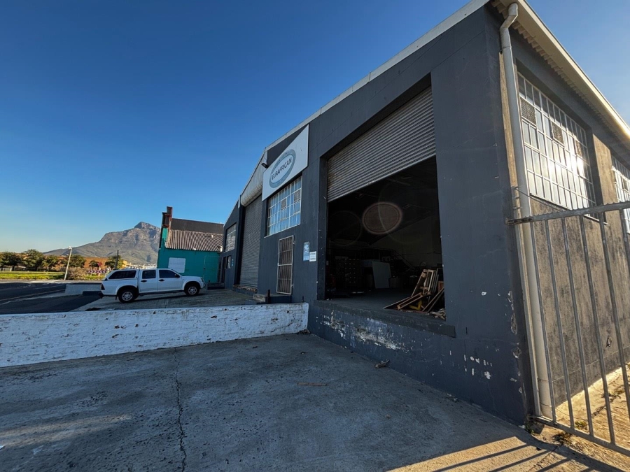 To Let commercial Property for Rent in Paarden Eiland Western Cape